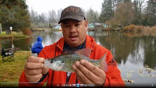 Crappie amp Pan Fish Fishing in Silver Lake Washington [upl. by Fedak966]