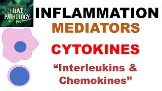 INFLAMMATION Part 6 Chemical Mediators CYTOKINES Interleukins amp Chemokines [upl. by Eesak]