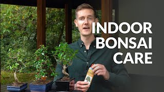 Indoor Bonsai care [upl. by Darrill]