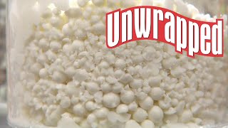 How Dippin Dots Are Made from Unwrapped  Unwrapped  Food Network [upl. by Ignatius809]