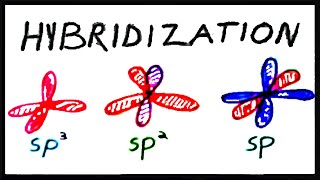 sp3 sp2 and sp Hybridization [upl. by Aihsenrad168]