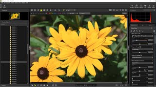 Nikon NX Studio  Review and Overview [upl. by Maida647]