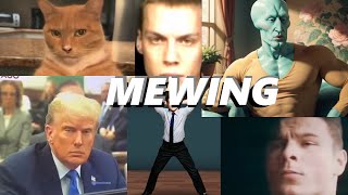 Mewing meme Compilation [upl. by Atnahs]