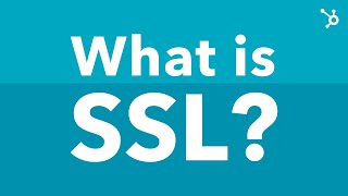 What Is SSL Explained [upl. by Etteniotna]