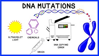 DNA Mutations [upl. by Issac]