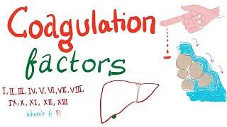 Coagulation Factors  Hemostasis  Hematology [upl. by Lash]