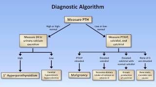 Hypercalcemia [upl. by Dorey38]