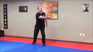 Tai Chi Qigong Shibashi set 1 [upl. by Laehpar380]