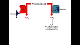 Celecoxib NSAID Mechanism of Action [upl. by Fryd]