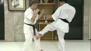 Kyokushin Kumite Image Training Part 2 [upl. by Anerb]