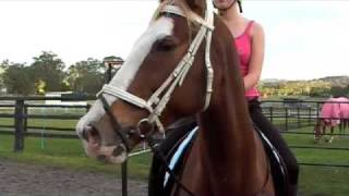 Horse Riding with Taylor Swift [upl. by Kcirdor]