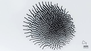 Ferrofluid  Magnetic pattern I [upl. by Groves]