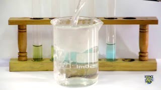 Food Tests  Iodine Biuret Benedicts Ethanol DCPIP [upl. by Carr657]