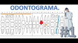 Como llenar un Odontograma  Parte 1 [upl. by Walrath]