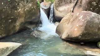 Río Mameyes  Yunque National Rain Forest [upl. by Sasha89]