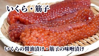 筋子からイクラを上手に取りほぐす方法！いくらの醤油漬け【いくら丼】と筋子の味噌漬けの作り方 [upl. by Anilem712]