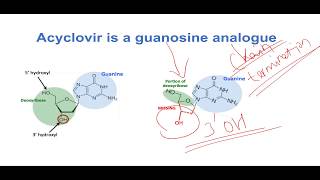 Mechanism of Action of Acyclovir [upl. by Atram]