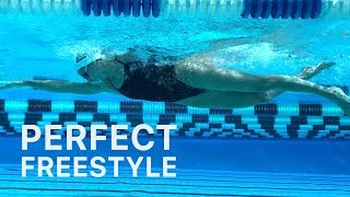 How To Swim Freestyle With Perfect Technique [upl. by Ingaberg817]