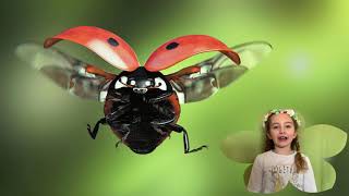 La Coccinella  Ricerca di scienze [upl. by Cowen]