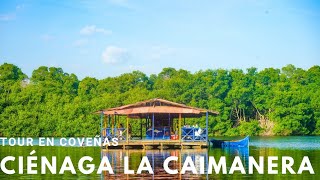 Tour Ciénaga la Caimanera Coveñas Colombia [upl. by Alrac]