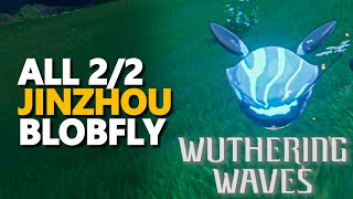 All Jinzhou Blobfly Wuthering Waves [upl. by Iana229]