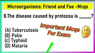 Class 8 Science  Chapter 2 Microorganisms  Friends amp Foe MCQ  class 8 science chapter 2 mcq [upl. by Neraj922]