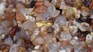 Gold Prospecting Western Australia 2021 pt1 [upl. by Nosirrag94]