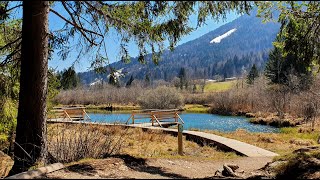 Natural reserve Zelenci Kranjska Gora Slovenia [upl. by Manoff]