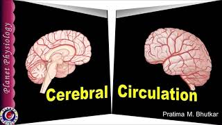 Cerebral Circulation Blood flow to Brain [upl. by Eibrad]